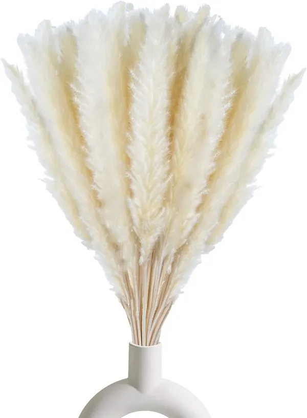 White_Dried_Pampas_For_Decoration