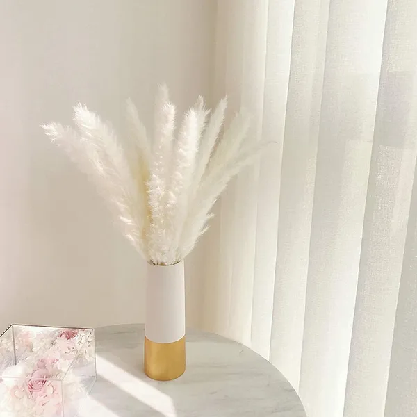 White_Dried_Pampas_For_Decoration