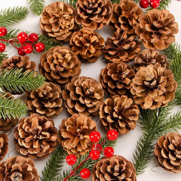 Natural_Christmas_Rustic_Pine_Cones_Bulk_Ornament_10Pcs_For_Decoration