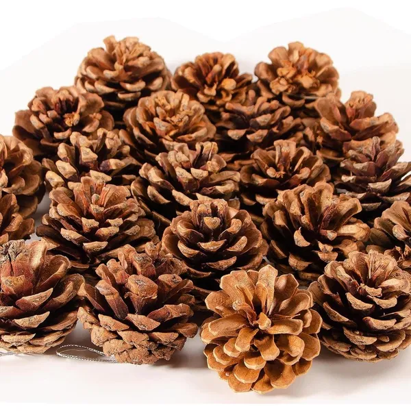 Natural_Christmas_Rustic_Pine_Cones_Bulk_Ornament_10Pcs_For_Decoration