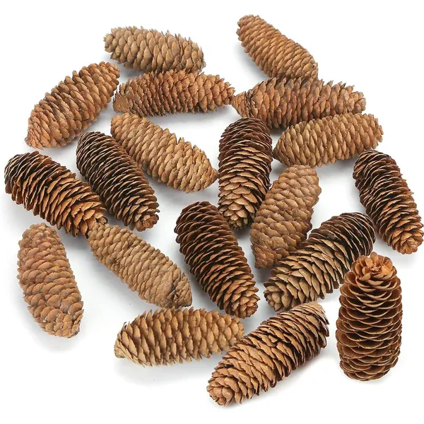 Natural_3.5-5_Inch_Pine_Cones,_Big_Pinecones,_Christmas_Natural_Pinecone_Ornaments_(10_Pieces)_For_Decoration