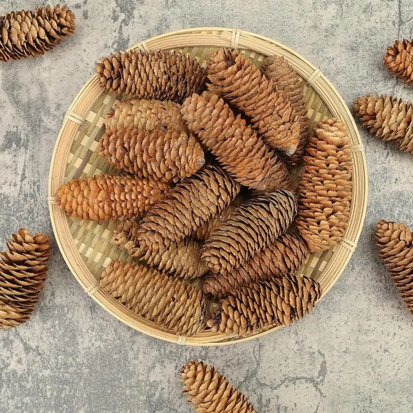 Natural_3.5-5_Inch_Pine_Cones,_Big_Pinecones,_Christmas_Natural_Pinecone_Ornaments_(10_Pieces)_For_Decoration