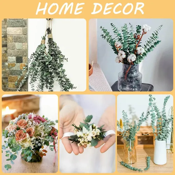 Green_Dried_Preserved_Eucalyptus_Plant_Bundle_-_100%_Real_Natural_10_Stems_Eucalyptus_Leaves,_17''_Fresh_Eucalyptus_For_Decoration