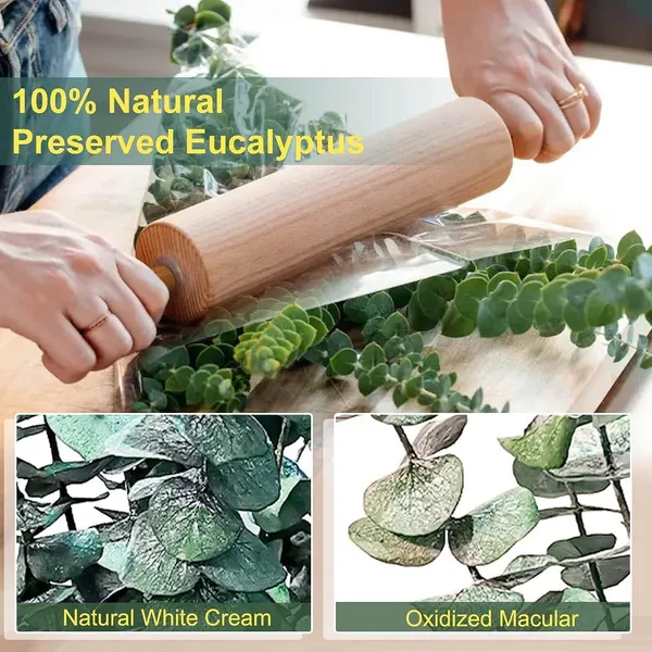 Green_Dried_Preserved_Eucalyptus_Plant_Bundle_-_100%_Real_Natural_10_Stems_Eucalyptus_Leaves,_17''_Fresh_Eucalyptus_For_Decoration