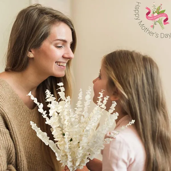 White_Dried_Eucalyptus_Stem_Bundle_-_100%_Natural_Real_Preserved_Eucalyptus_Plants,_17"_Bleached_Eucalyptus_Leaves_Branches_For_Vase_Decor,_Wedding,_Home,_Floral_Arrangement_(10_Pieces)