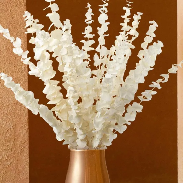 White_Dried_Eucalyptus_Stem_Bundle_-_100%_Natural_Real_Preserved_Eucalyptus_Plants,_17"_Bleached_Eucalyptus_Leaves_Branches_For_Vase_Decor,_Wedding,_Home,_Floral_Arrangement_(10_Pieces)