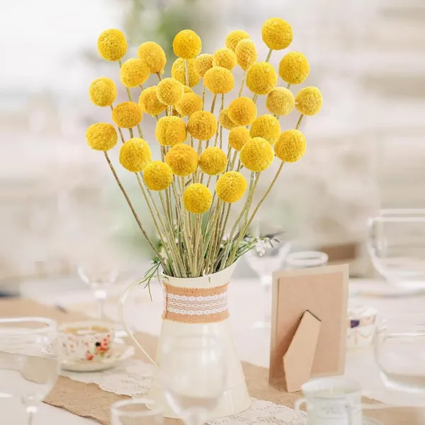 Yellow_Dried_Flower_Billy_Balls_5_Stems_For_Decoration
