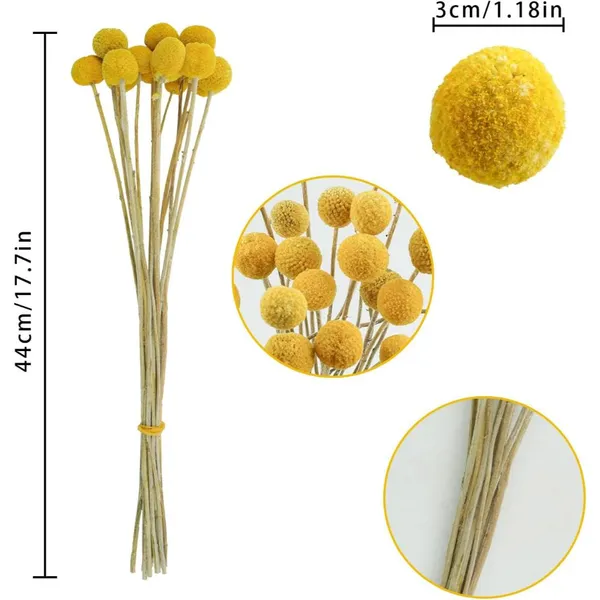 Yellow_Dried_Flower_Billy_Balls_5_Stems_For_Decoration