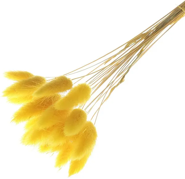 Yellow_Dried_Bunny_Tails_30Pcs_Pack_For_Decoration