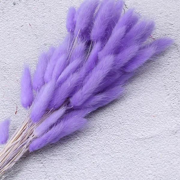 Purple_Dried_Bunny_Tails_30Pcs_Pack_For_Decoration