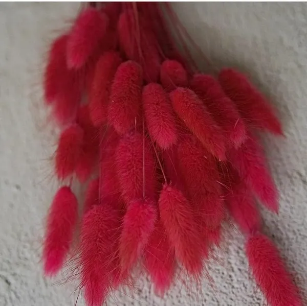 Red_Dried_Bunny_Tails_30Pcs_Pack_For_Decoration