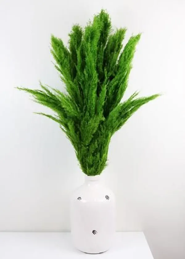 Green_Dried_Pampas_Set_Of_10_Sticks_For_Decoration