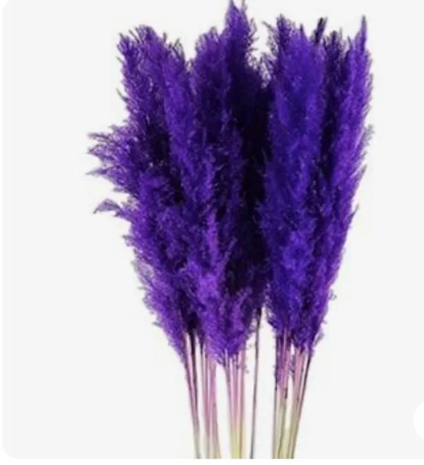 Purple_Dried_Pampas_Set_Of_10_Sticks_For_Decoration