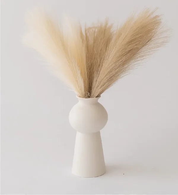 Beige_And_Cream_Artificial_Pampas_Mix_Colour_(Set_Of_6)_For_Decoration