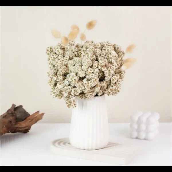 Natural_Dried_Daisies_Flower_Bunch_For_Decoration
