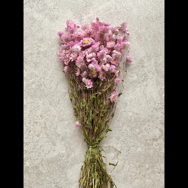Pink_Dried_Daisies_Flower_Bunch_For_Decoration