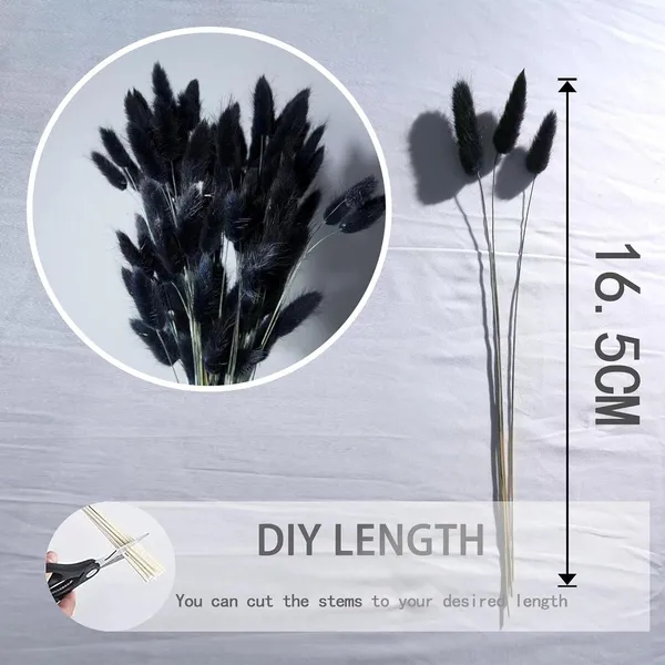 Black_Dried_Bunny_Tails_30Pcs_Pack_For_Decoration
