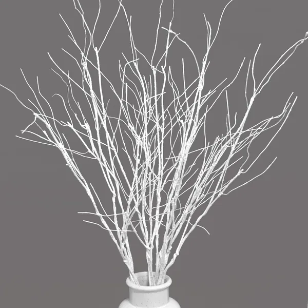 White_10_Pcs_Branches_Curly_Willow_For_Decoration