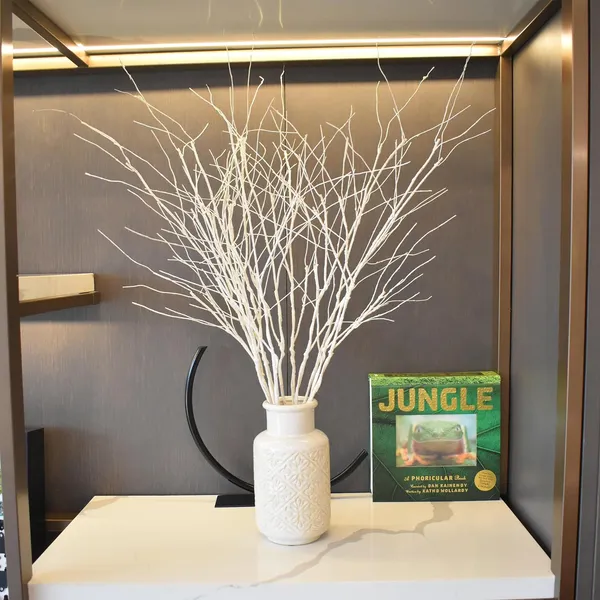 White_10_Pcs_Branches_Curly_Willow_For_Decoration