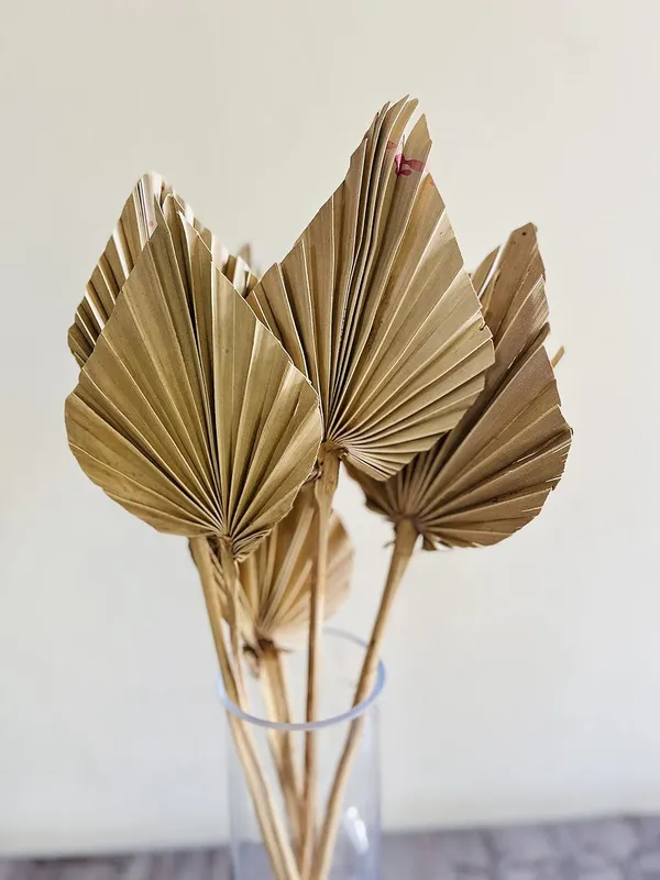 Natural_Dried_Palm_Spear_10_Stems_For_Decoration