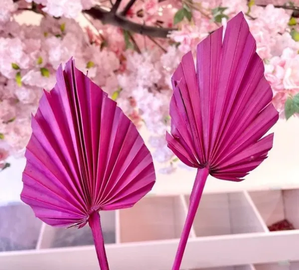 Fuchsia_Palm_Spear_(Set_Of_10)_For_Decoration