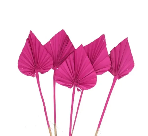 Fuchsia_Palm_Spear_(Set_Of_10)_For_Decoration