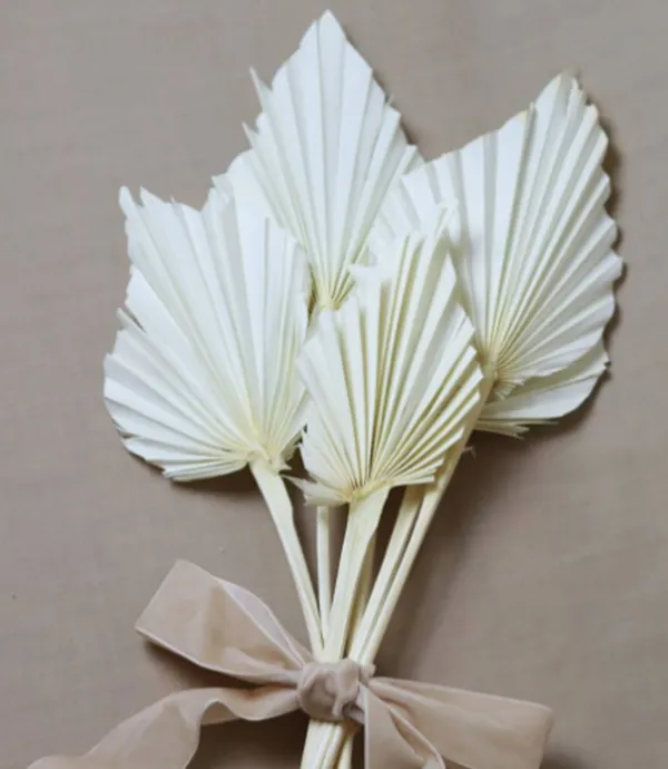White_Palm_Spear_(Set_Of_10)_For_Decoration