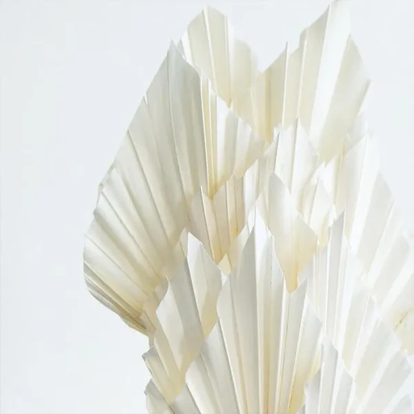 White_Palm_Spear_(Set_Of_10)_For_Decoration