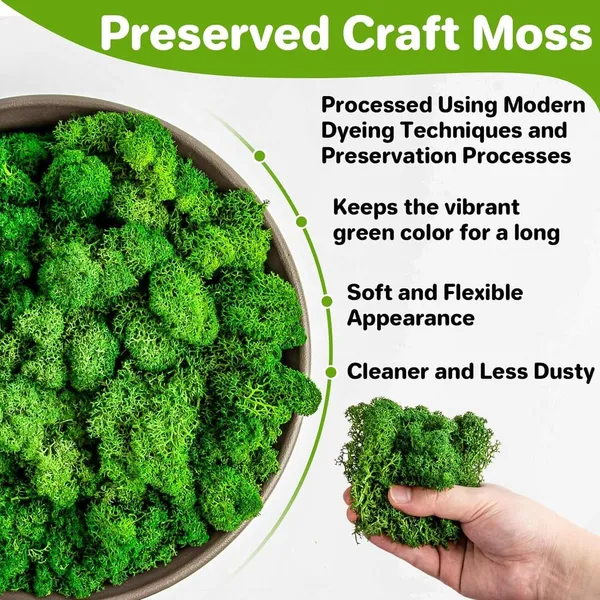 Green_Preserved_Moss_For_Crafts_Green_Reindeer_Moss_For_Potted_Plants,_Craft_Decorative_Moss_Decor_For_Wall_Art,_Dried_Moss_For_Decoration