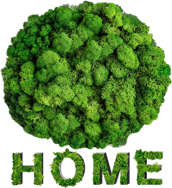Green_Preserved_Moss_For_Crafts_Green_Reindeer_Moss_For_Potted_Plants,_Craft_Decorative_Moss_Decor_For_Wall_Art,_Dried_Moss_For_Decoration