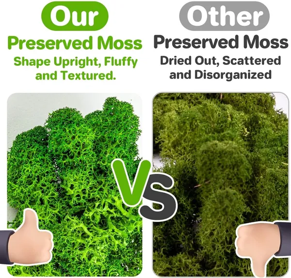Green_Preserved_Moss_For_Crafts_Green_Reindeer_Moss_For_Potted_Plants,_Craft_Decorative_Moss_Decor_For_Wall_Art,_Dried_Moss_For_Decoration