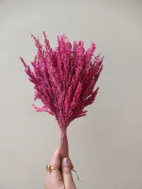 Pink_Dried_Fox_Tail_For_Decoration
