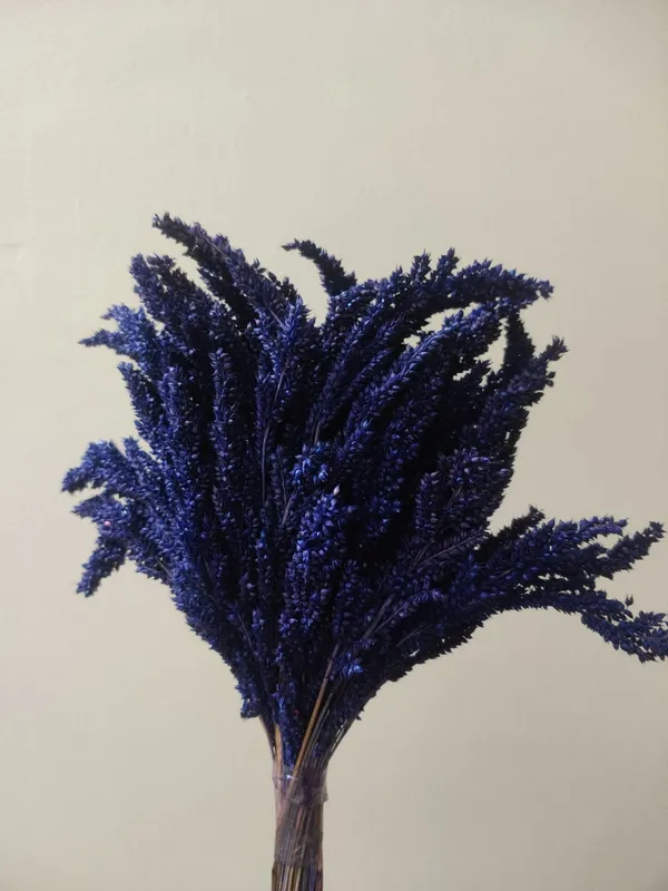 Purple_Dried_Fox_Tail_For_Decoration