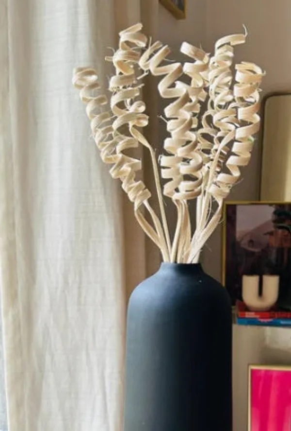 Natural_Off_White_Spiral_Stems_(Set_Of_10)_For_Decoration