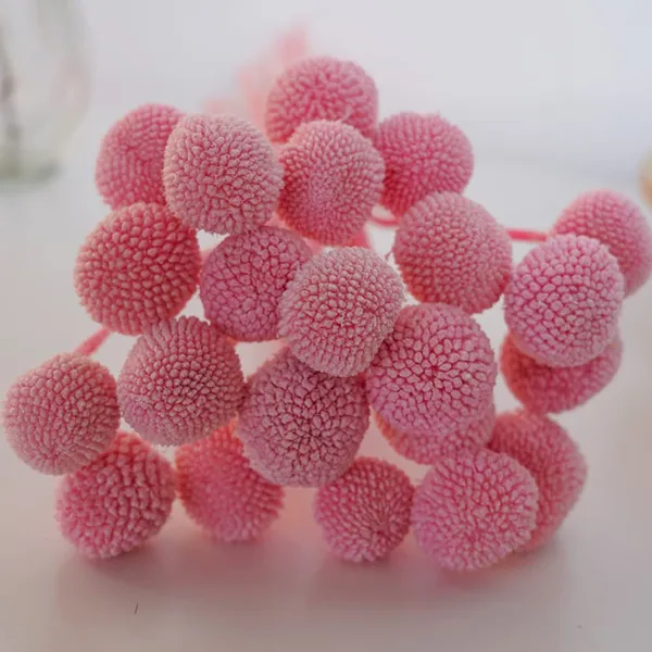 Pink_Dried_Flower_Billy_Balls_5_Stems_For_Decoration