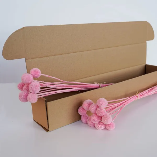 Pink_Dried_Flower_Billy_Balls_5_Stems_For_Decoration
