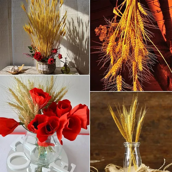 Yellow_Dried_Wheat_Grass_Natural_Bunch_25_Stems_For_Decoration