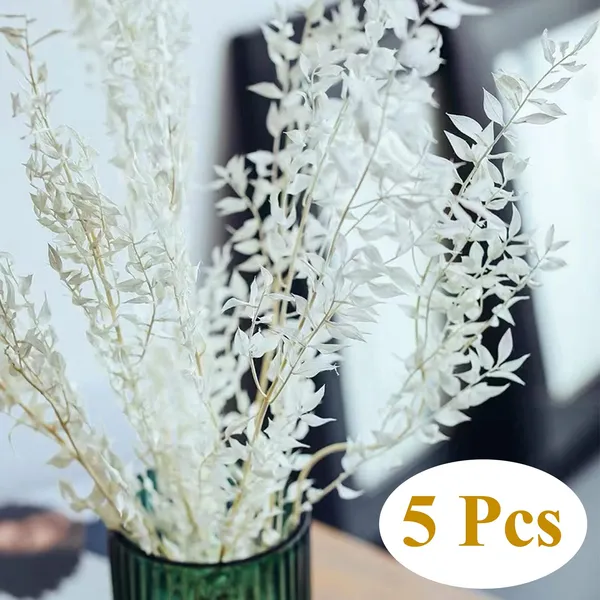 White_Dried_Real_Eucalyptus_Italian_Ruscus_-_5_Stems_For_Decoration