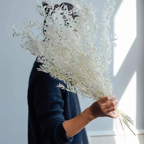 White_Dried_Real_Eucalyptus_Italian_Ruscus_-_5_Stems_For_Decoration
