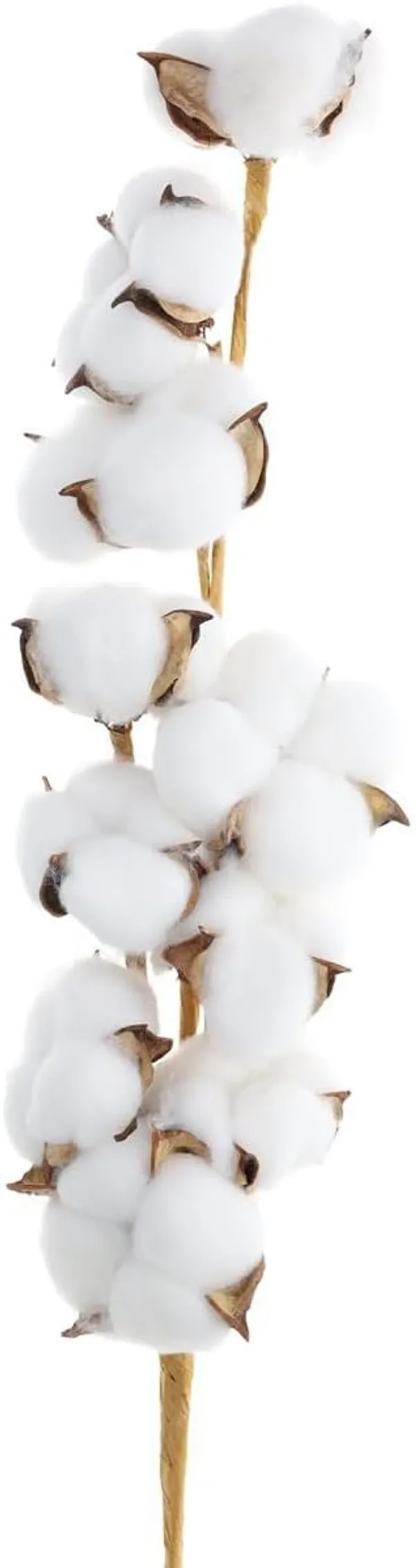 White_Cotton_Stem,_26_1/8",_Cotton_Stems_Decor_Branches,_Cotton_Decor,_Cotton_Stems,_For_Decoration