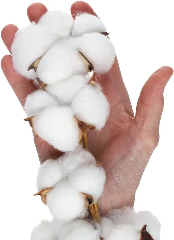 White_Cotton_Stem,_26_1/8",_Cotton_Stems_Decor_Branches,_Cotton_Decor,_Cotton_Stems,_For_Decoration