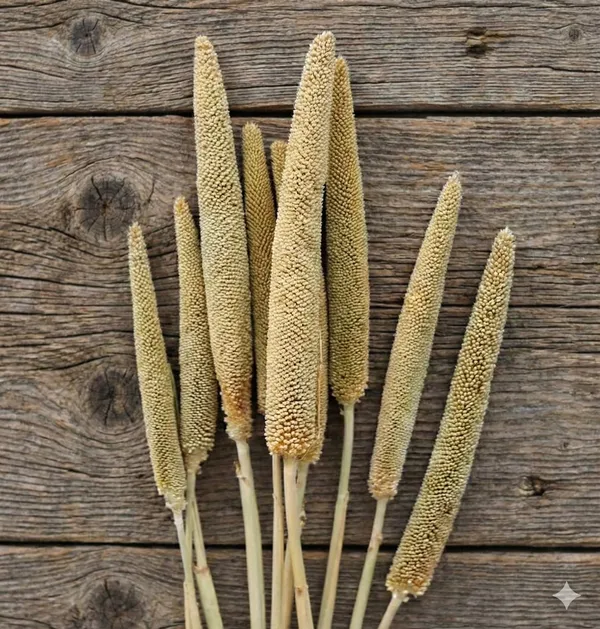 Natural_Dried_Millets_10_Stems_For_Decoration