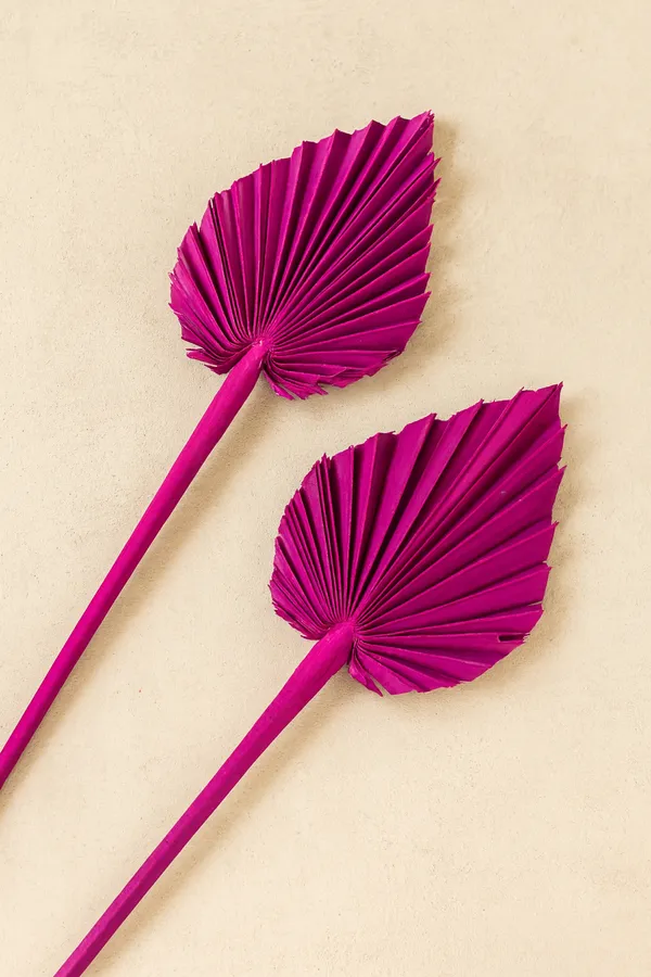 Pink_Eco-Friendly_Dried_Palm_Leaves_For_Decoration