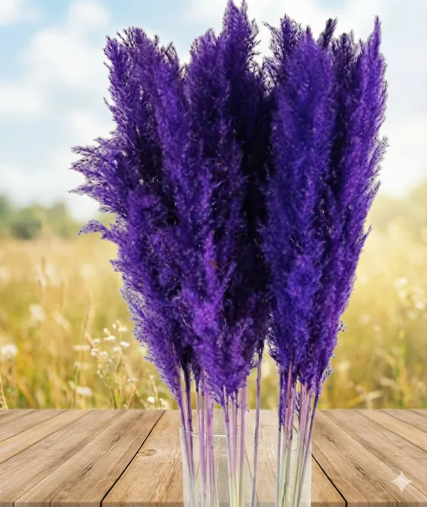 Purple_Dried_Pampas_Set_Of_10_Sticks_For_Decoration