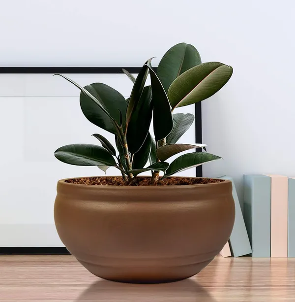 Bowl_Small_Truffle_Ceramic_Pots_For_Indoor_Plants,_Planters,_Flower,_Pots,_Gamla,_Outdoor,_Balcony,_Home,_Garden,_Office_Decor,_Succulent_Pot(D_-_15_X_H_-_8_Cm)