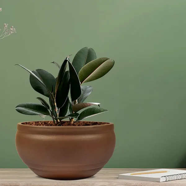 Bowl_Small_Truffle_Ceramic_Pots_For_Indoor_Plants,_Planters,_Flower,_Pots,_Gamla,_Outdoor,_Balcony,_Home,_Garden,_Office_Decor,_Succulent_Pot(D_-_15_X_H_-_8_Cm)