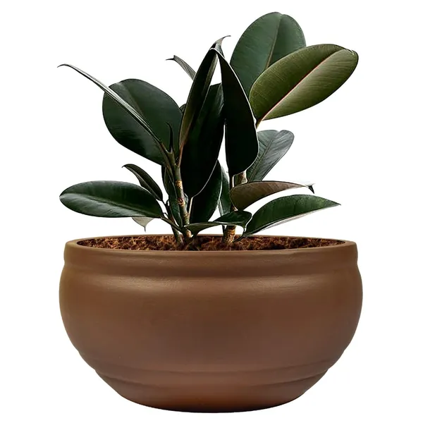 Bowl_Small_Truffle_Ceramic_Pots_For_Indoor_Plants,_Planters,_Flower,_Pots,_Gamla,_Outdoor,_Balcony,_Home,_Garden,_Office_Decor,_Succulent_Pot(D_-_15_X_H_-_8_Cm)