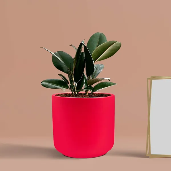 Zeno_Red_Ceramic_Pots_For_Indoor_Plants,_Planters,_Flower,_Pots,_Gamla,_Outdoor,_Balcony,_Home,_Garden,_Office_Decor,_Succulent_Pot(H_-_9_X_D_-_9_Cm)