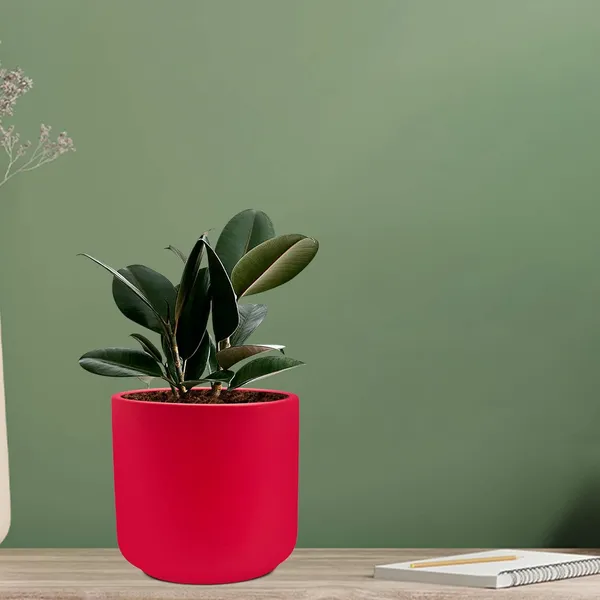 Zeno_Red_Ceramic_Pots_For_Indoor_Plants,_Planters,_Flower,_Pots,_Gamla,_Outdoor,_Balcony,_Home,_Garden,_Office_Decor,_Succulent_Pot(H_-_9_X_D_-_9_Cm)