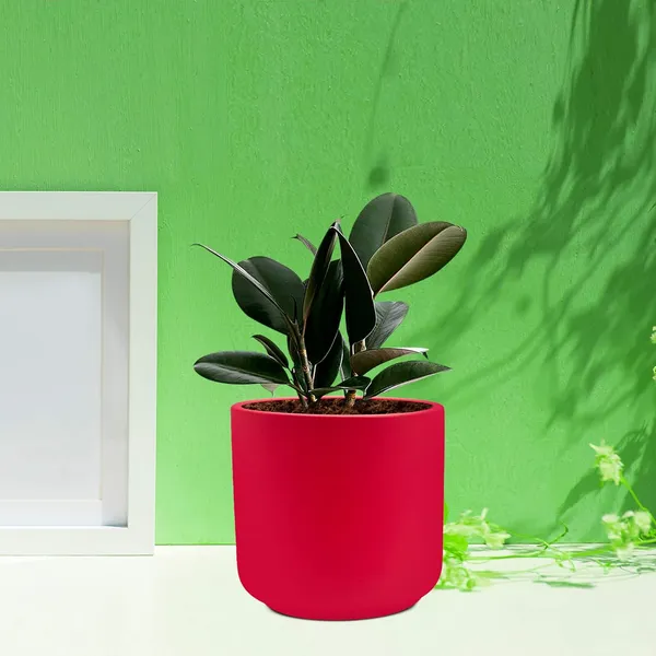 Zeno_Red_Ceramic_Pots_For_Indoor_Plants,_Planters,_Flower,_Pots,_Gamla,_Outdoor,_Balcony,_Home,_Garden,_Office_Decor,_Succulent_Pot(H_-_9_X_D_-_9_Cm)
